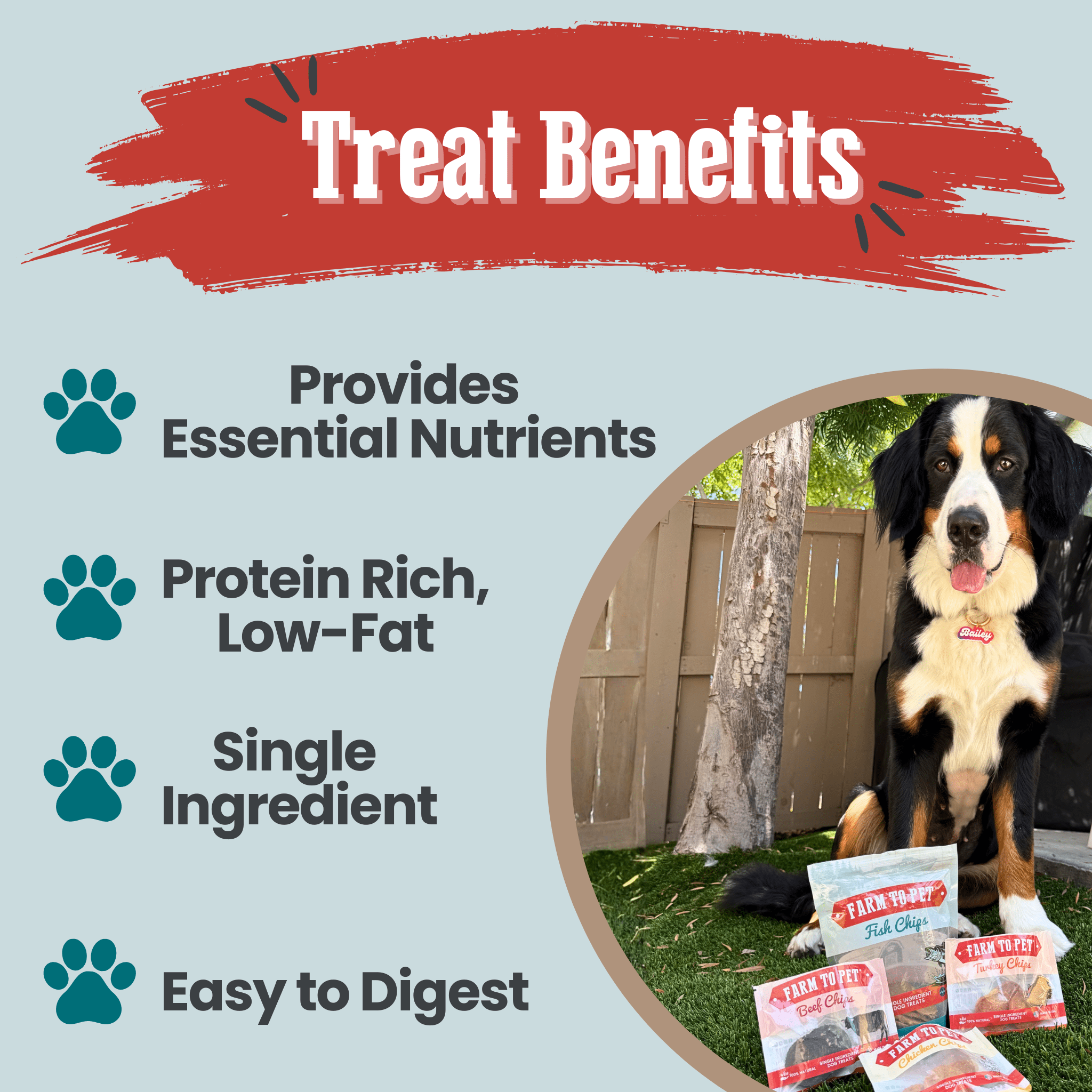 Puppy Packs 'n Snacks Dog Treat Starter Pack | Single-Ingredient