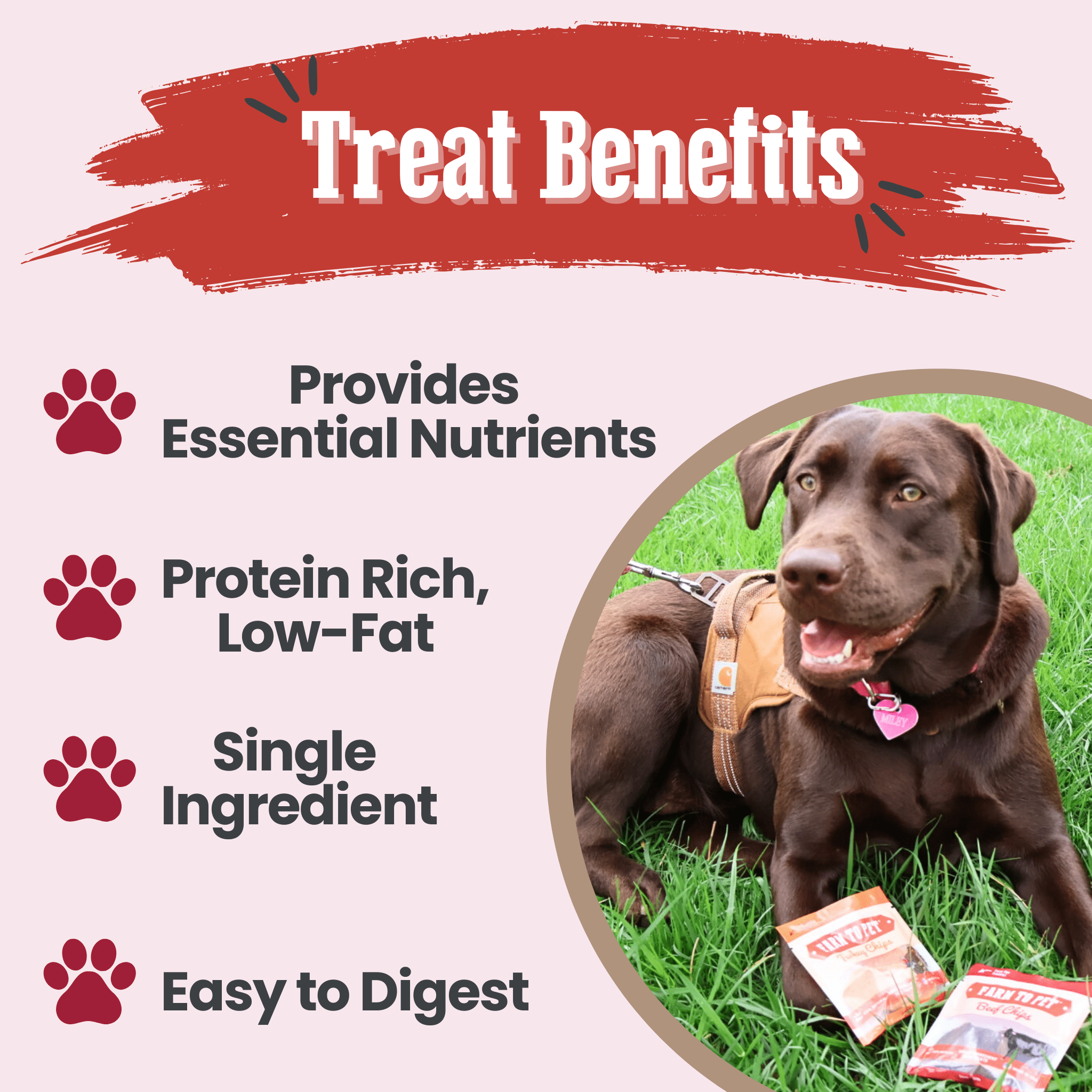 Puppy Packs 'n Snacks Dog Treat Starter Pack | Single-Ingredient