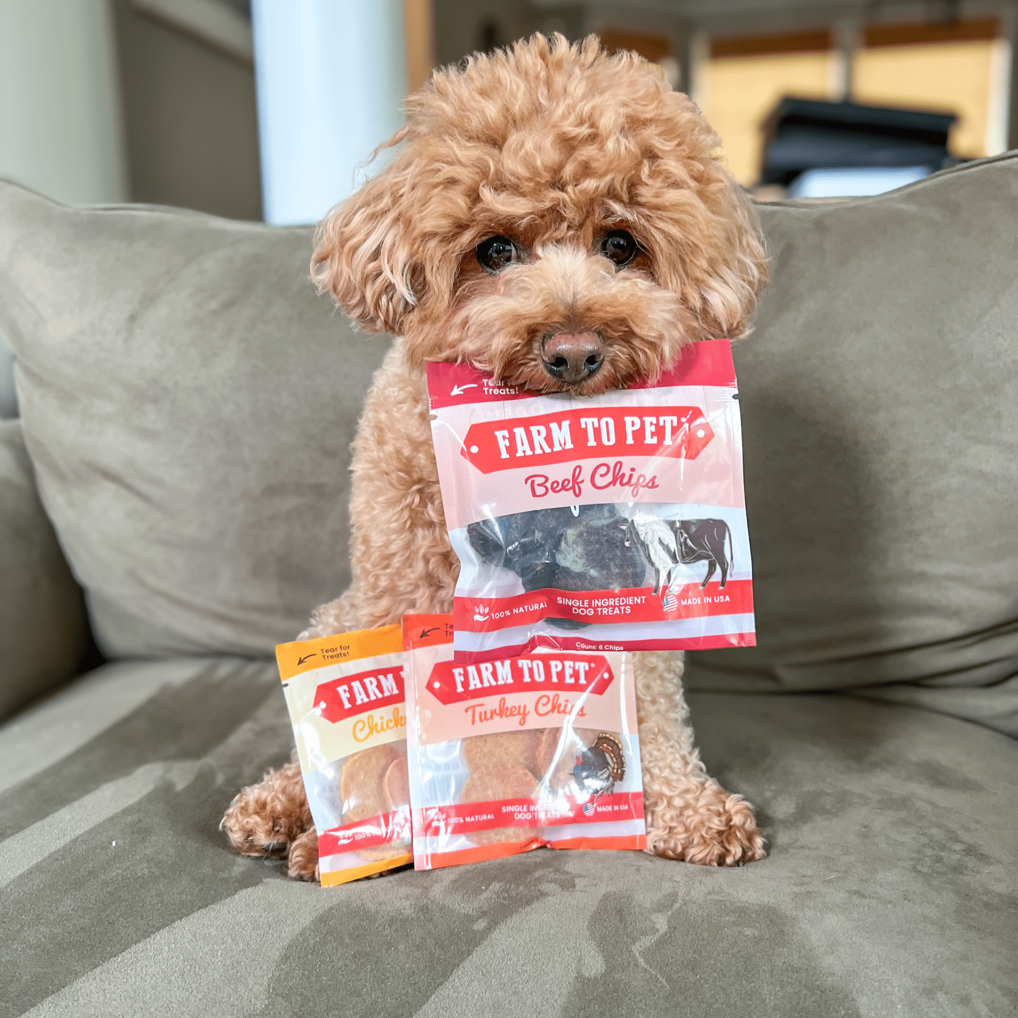 Puppy Packs 'n Snacks Dog Treat Starter Pack | Single-Ingredient