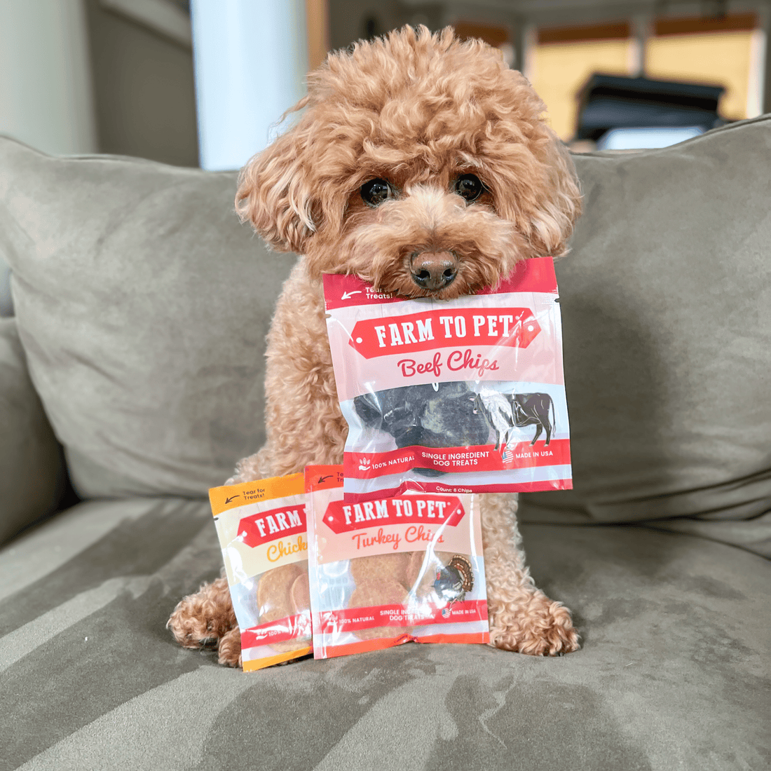 Puppy Packs 'n Snacks Dog Treat Starter Pack | Single-Ingredient