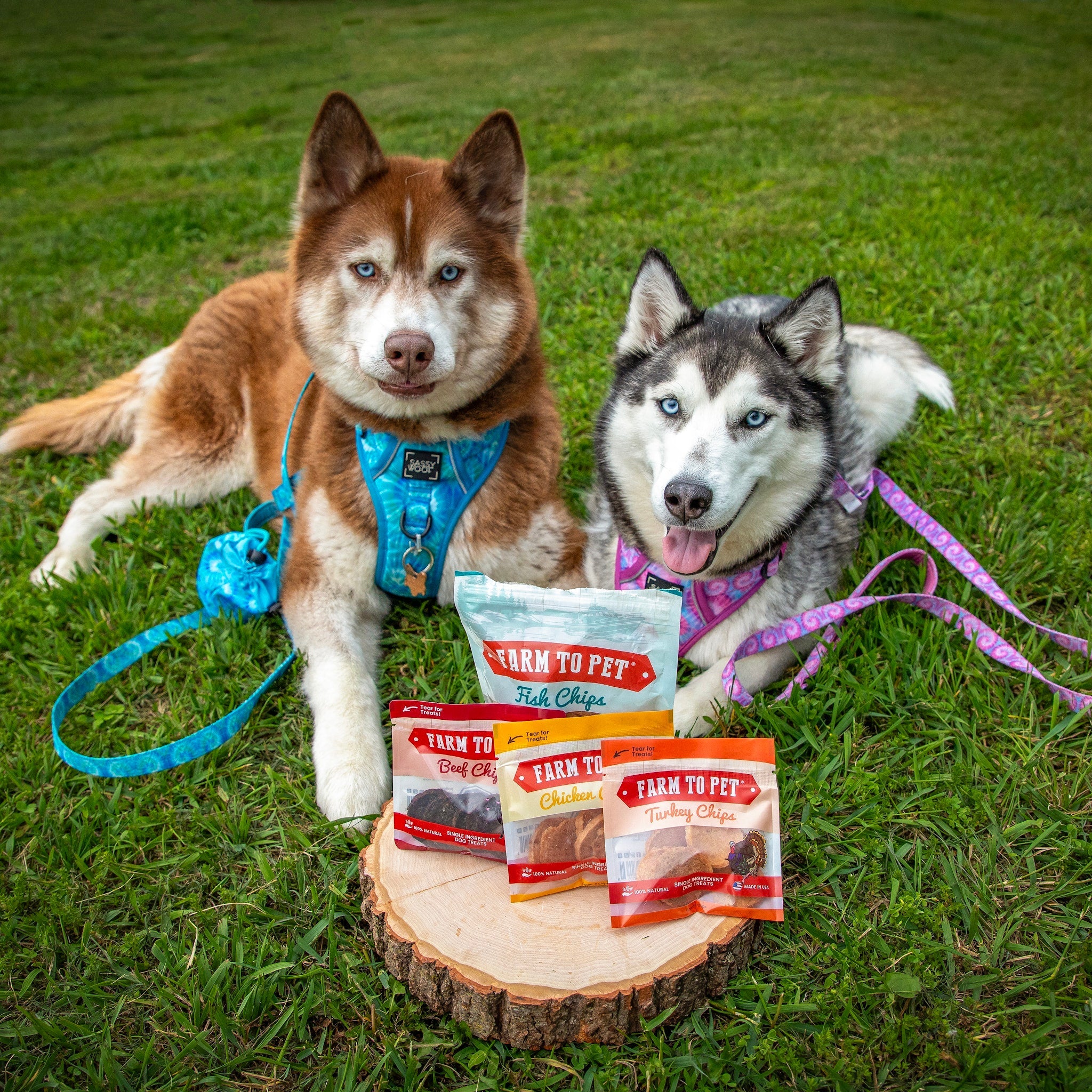 Puppy Packs 'n Snacks Dog Treat Starter Pack | Single-Ingredient