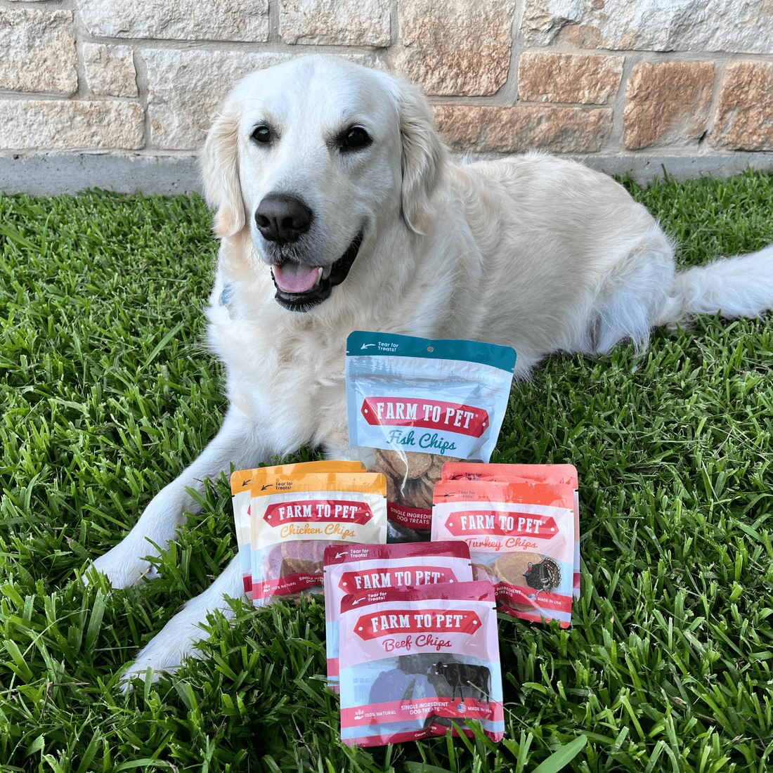 Puppy Packs 'n Snacks Dog Treat Starter Pack | Single-Ingredient