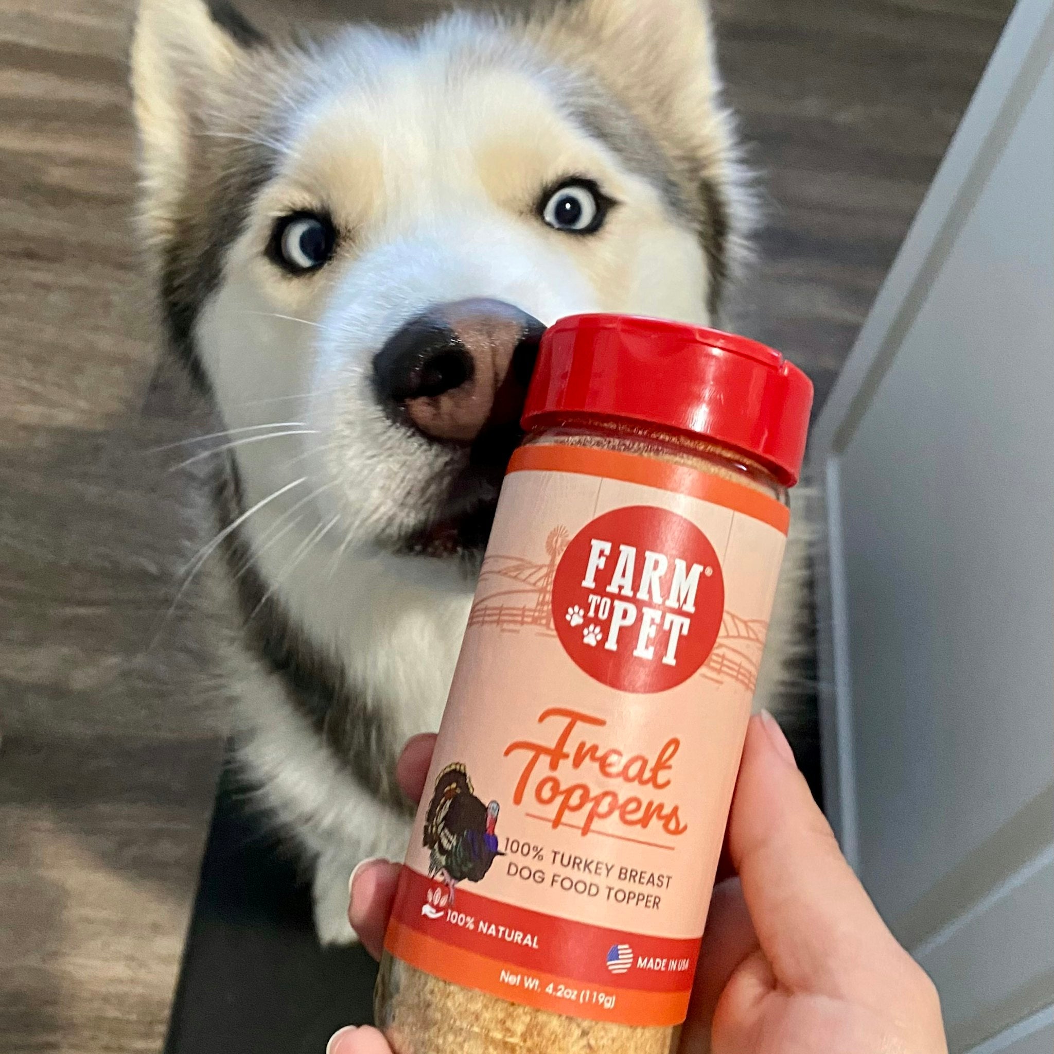 Treat Topper Turkey Dog Food | Healthy Meal Supplement for Dogs