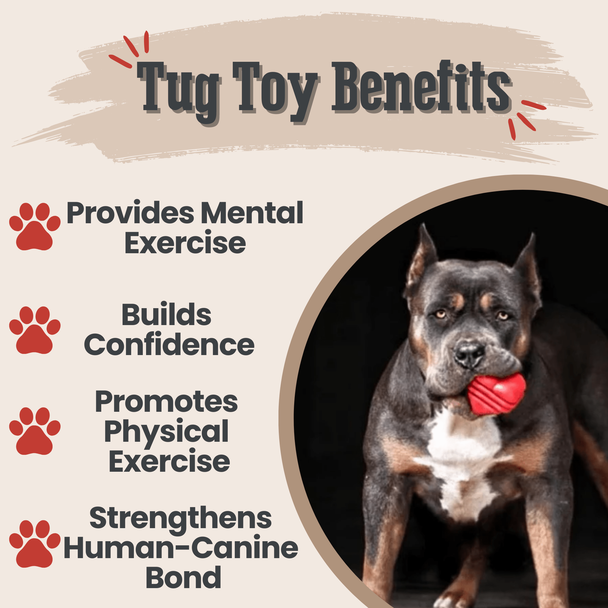 Chew Toy Assortment