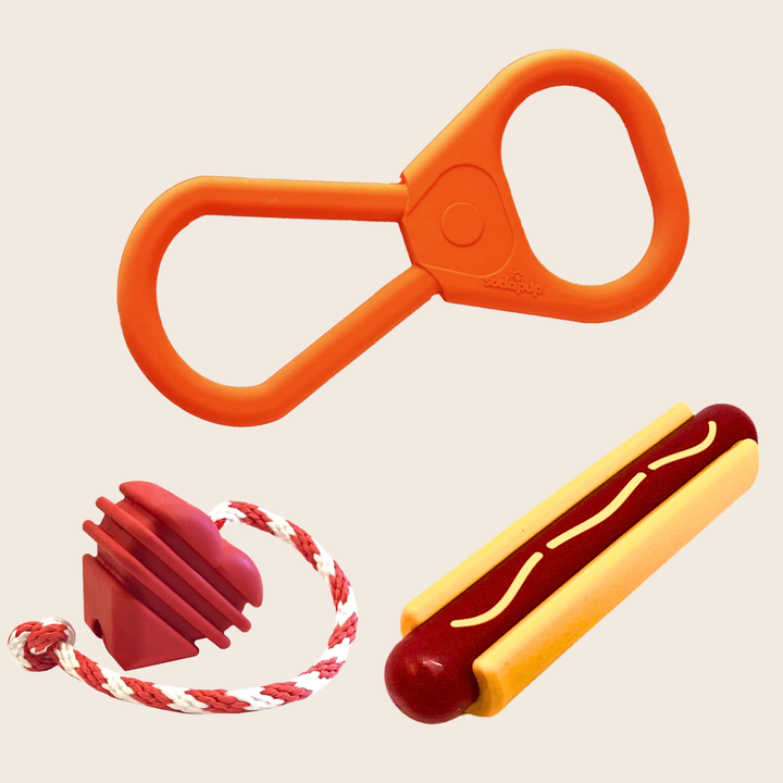 Chew Toy Assortment