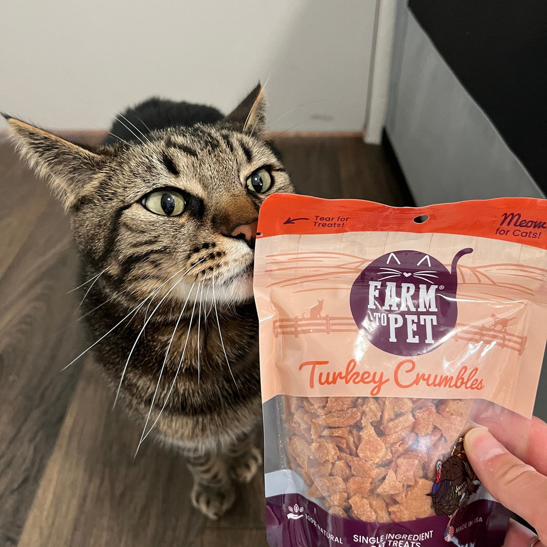 Turkey Crumbles for Cats | Grain-Free Treats