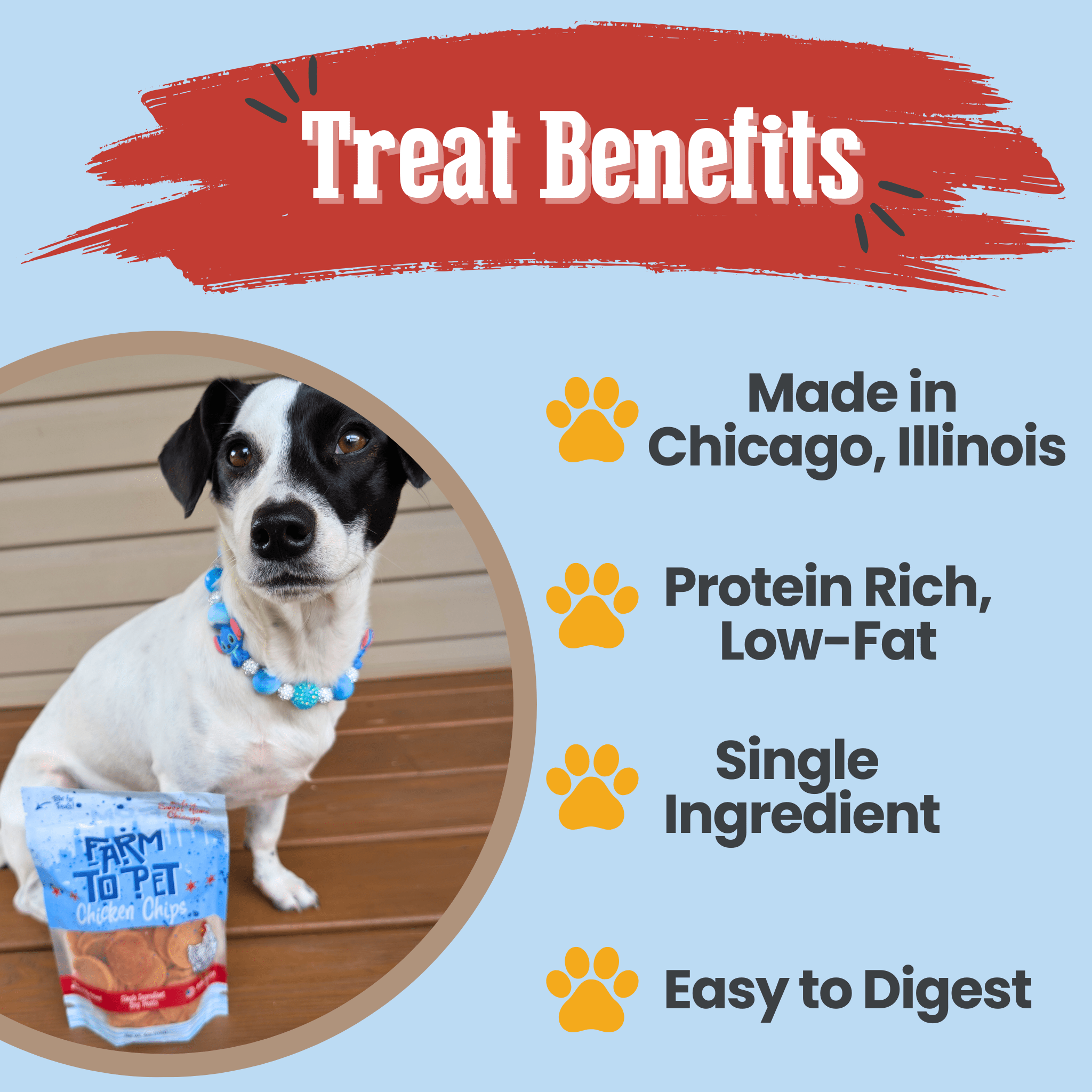 Chicago Chicken Chips for Dogs