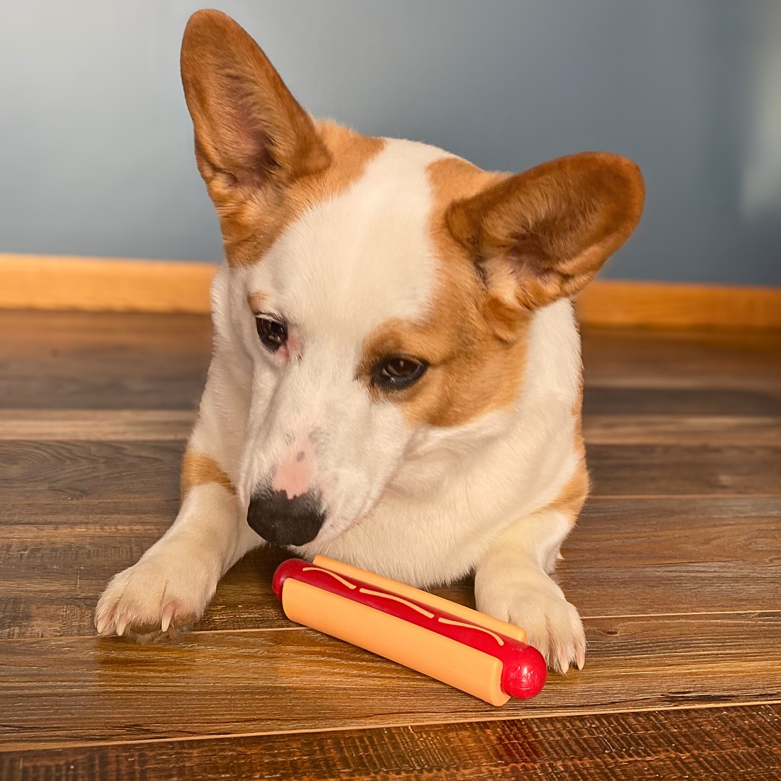 Chew Toy Assortment