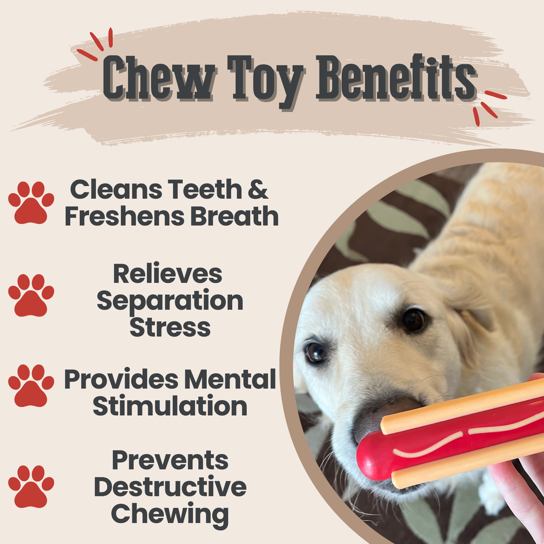Chew Toy Assortment