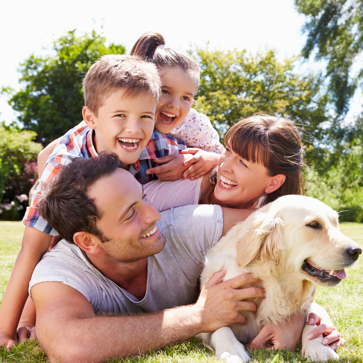 Family enjoying outdoors with dog
