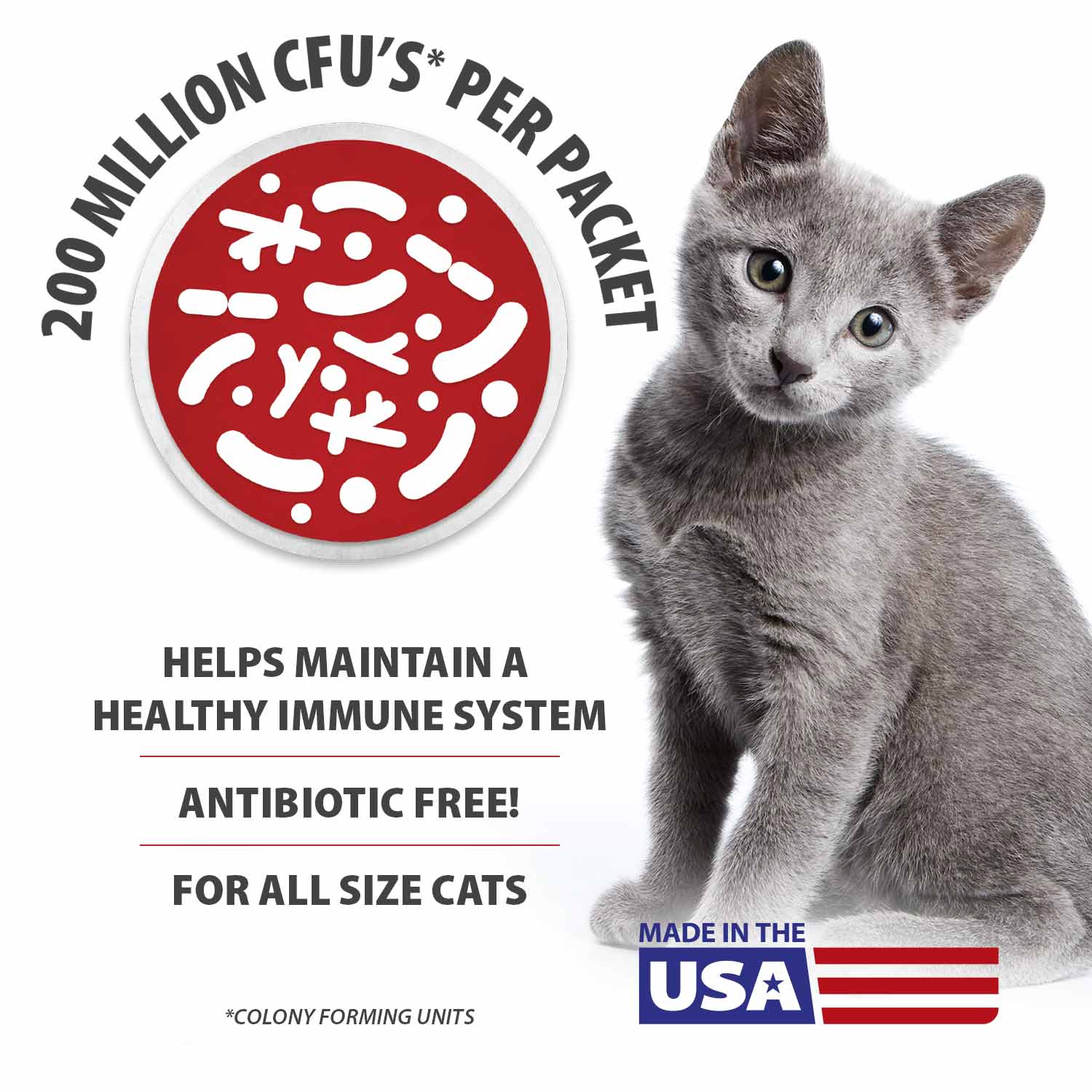 Jeffers BELLY BUDDY Probiotic Supplement for Cats – Multi-Strain Digestive & Immune Support