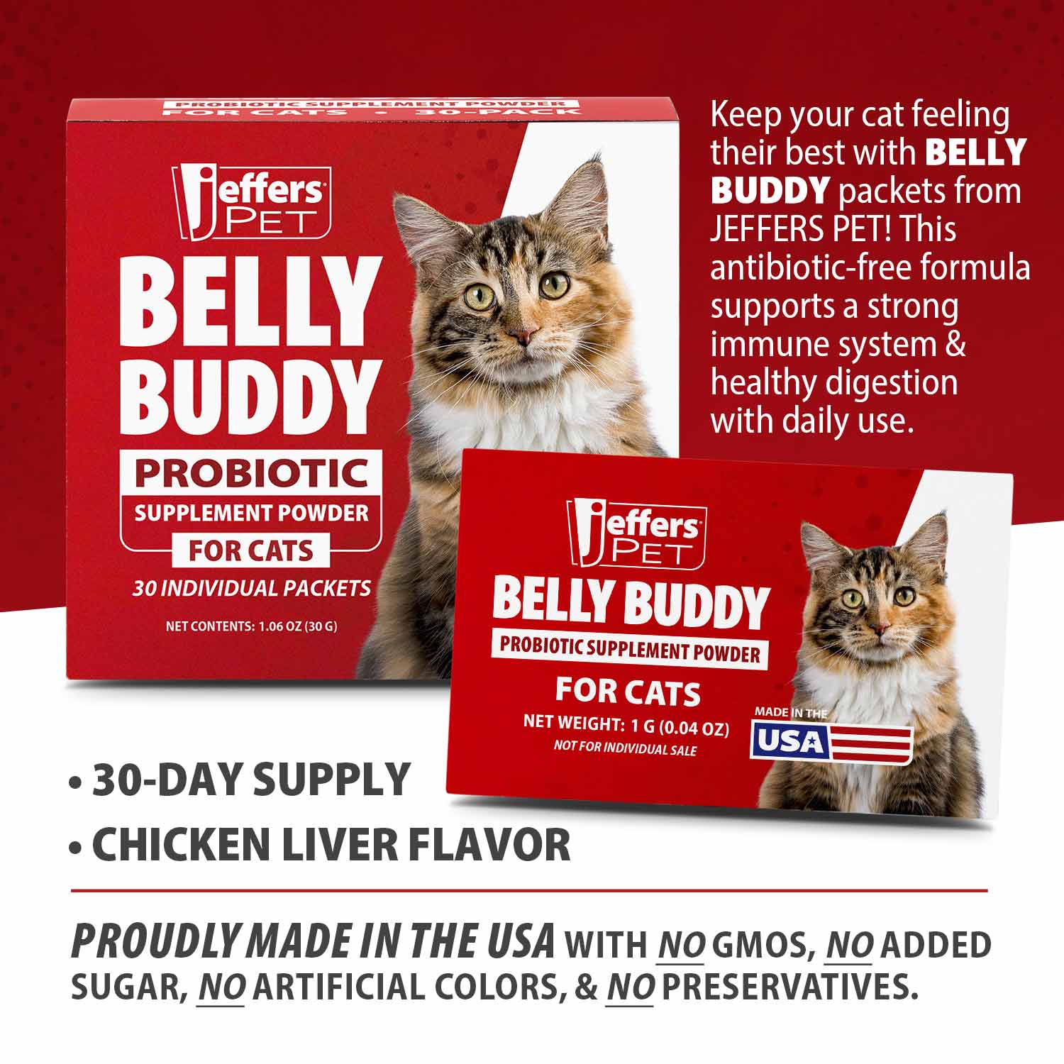 Jeffers BELLY BUDDY Probiotic Supplement for Cats – Multi-Strain Digestive & Immune Support