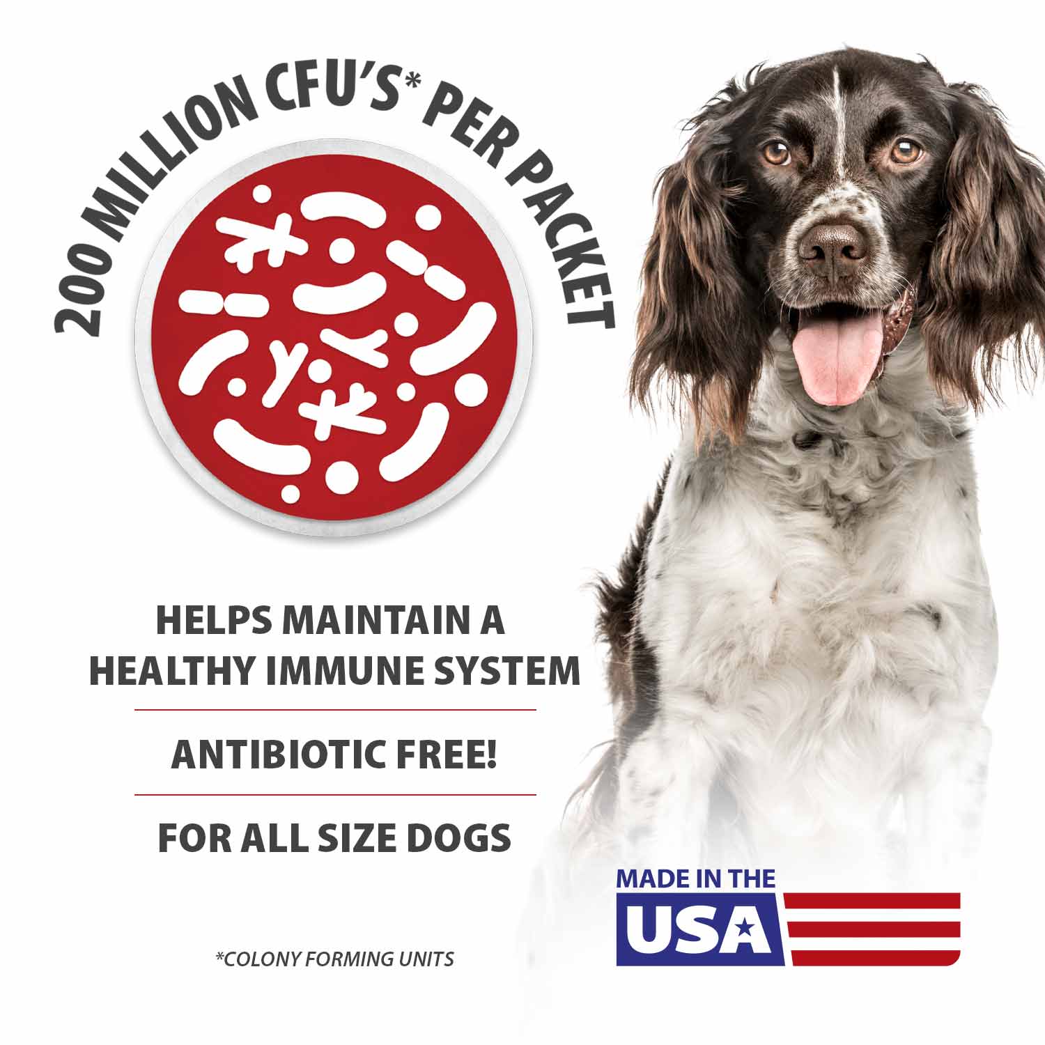 Jeffers BELLY BUDDY Probiotic Powder for Dogs – Multi-Strain Digestive & Immune Support
