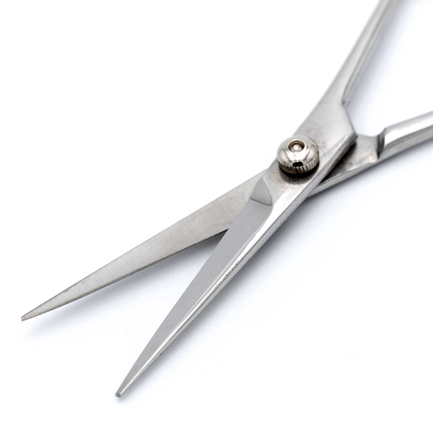 Professional Stainless Steel Pet Grooming Shears