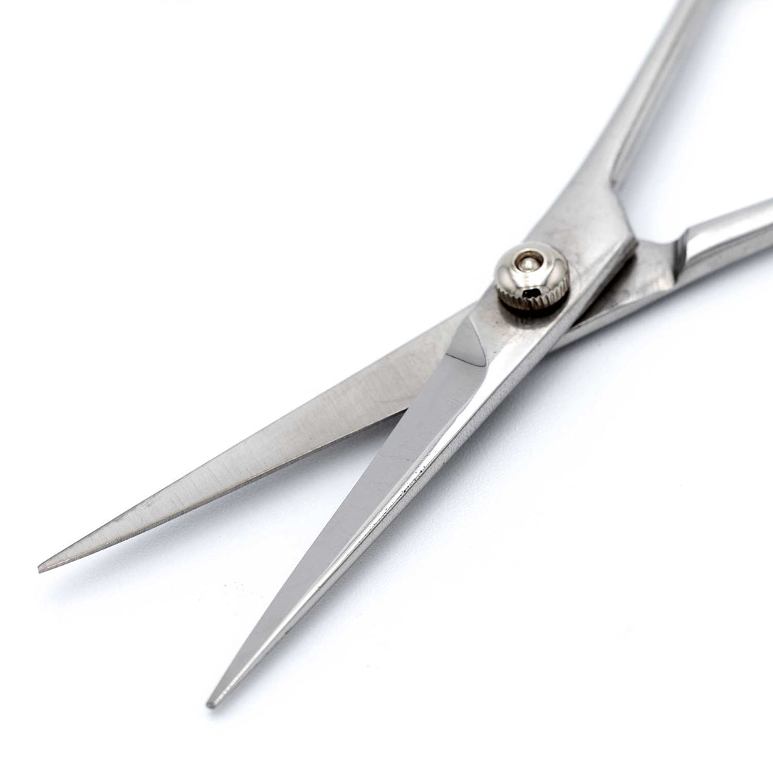 Professional Stainless Steel Pet Grooming Shears