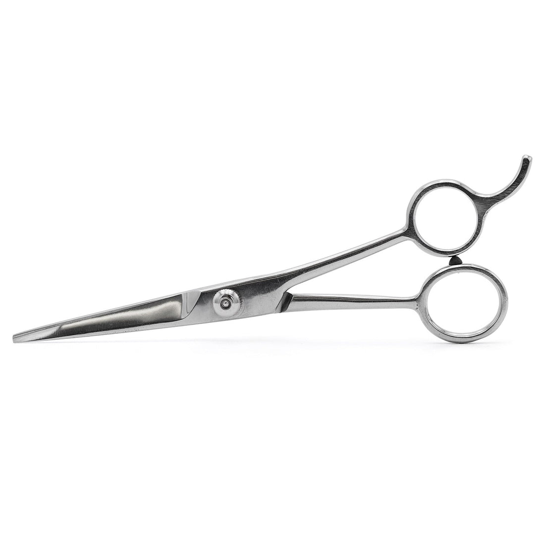 Professional Stainless Steel Pet Grooming Shears