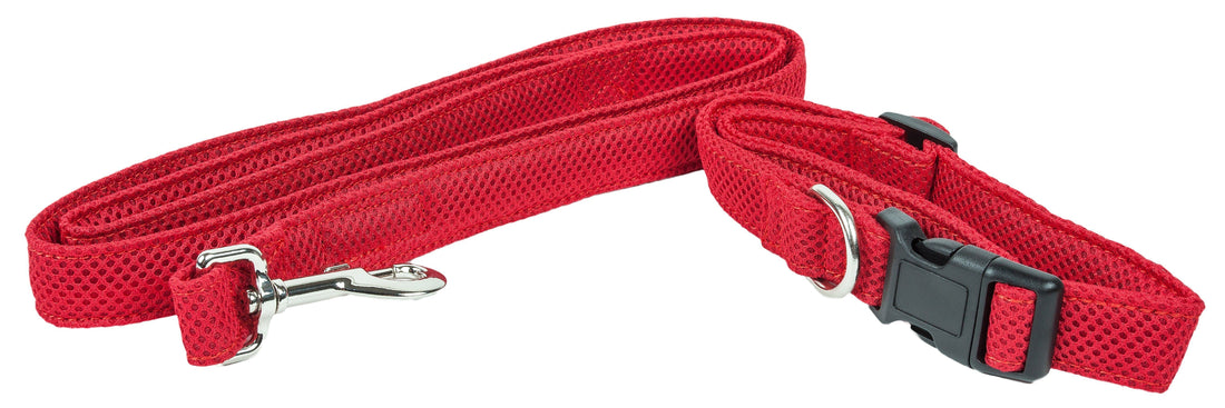 Aero Mesh 2 in 1 Breathable Adjustable Dog Leash