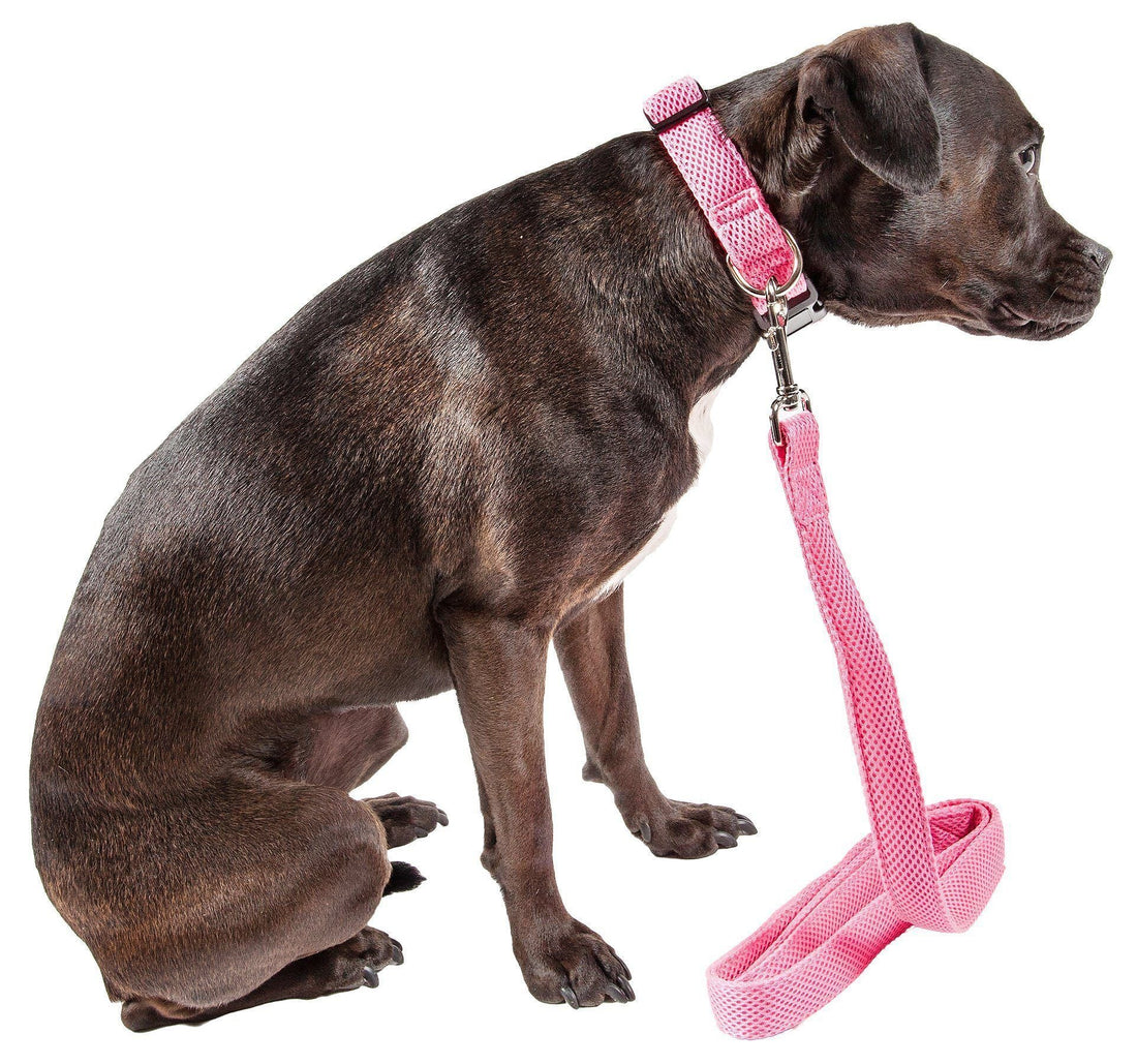 Aero Mesh 2 in 1 Breathable Adjustable Dog Leash