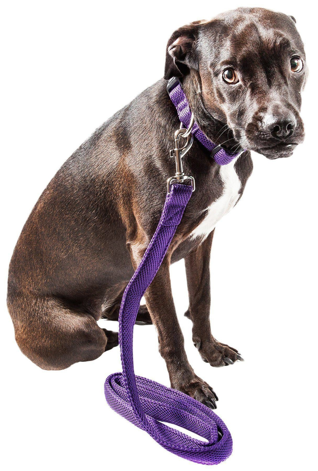 Aero Mesh 2 in 1 Breathable Adjustable Dog Leash