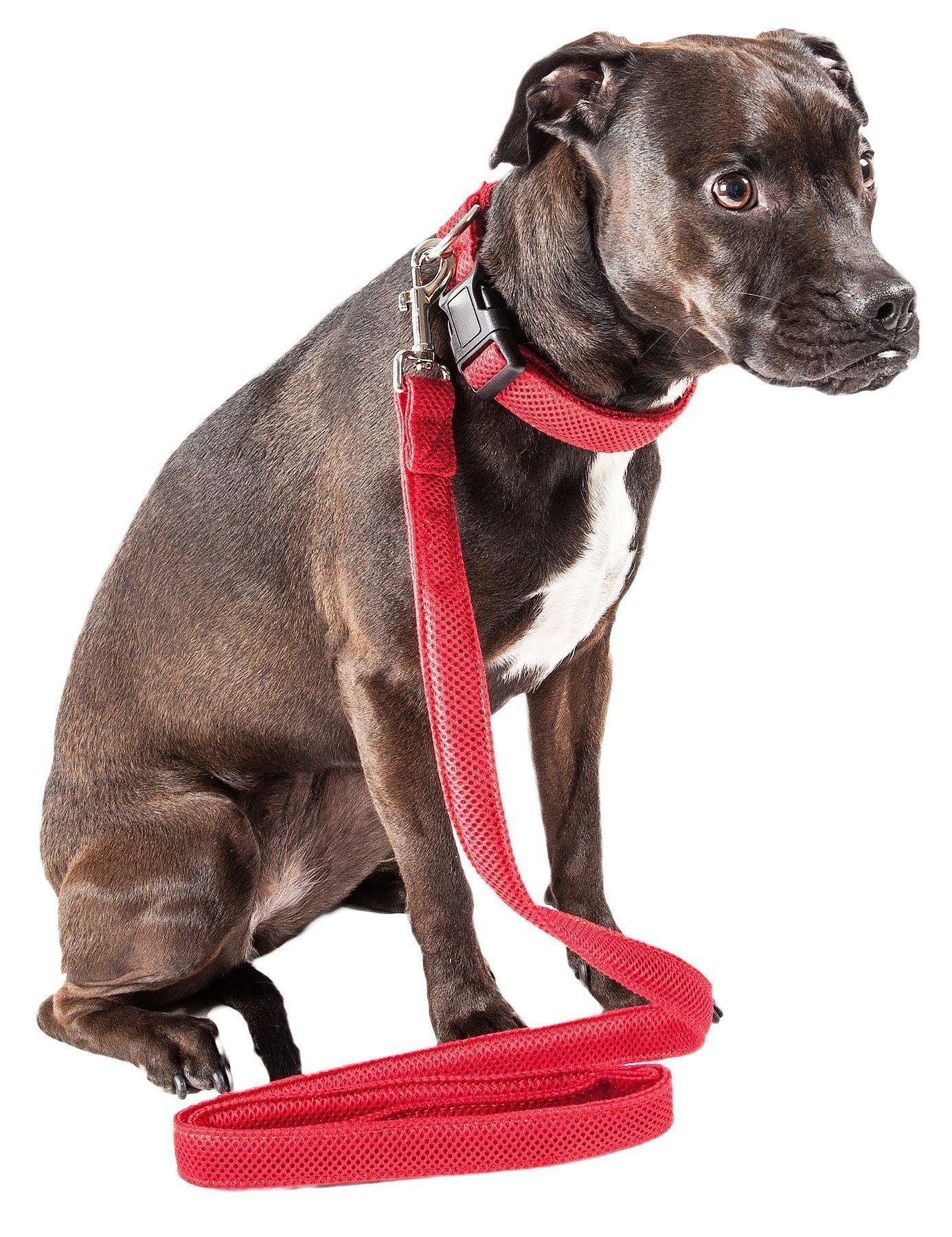 Aero Mesh 2 in 1 Breathable Adjustable Dog Leash