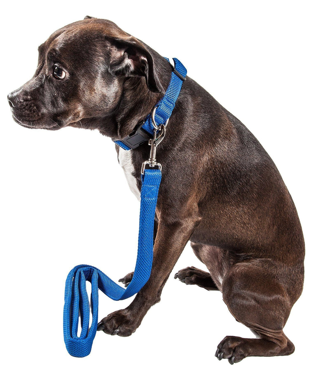 Aero Mesh 2 in 1 Breathable Adjustable Dog Leash