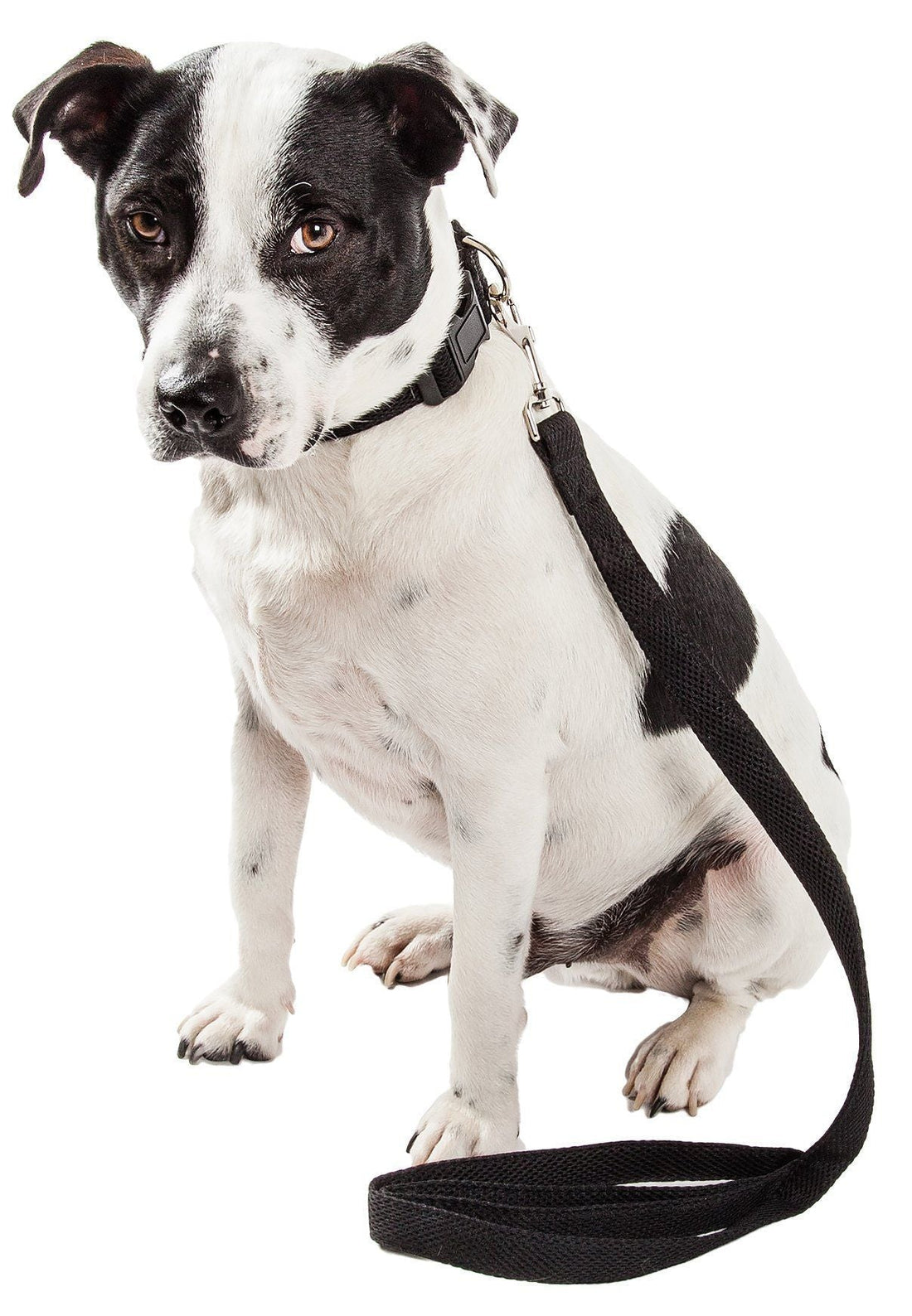 Aero Mesh 2 in 1 Breathable Adjustable Dog Leash