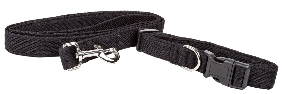 Aero Mesh 2 in 1 Breathable Adjustable Dog Leash