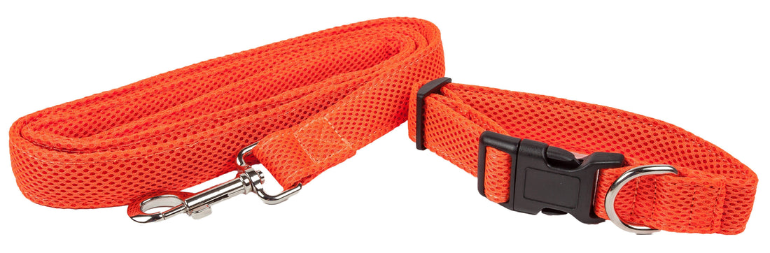 Aero Mesh 2 in 1 Breathable Adjustable Dog Leash