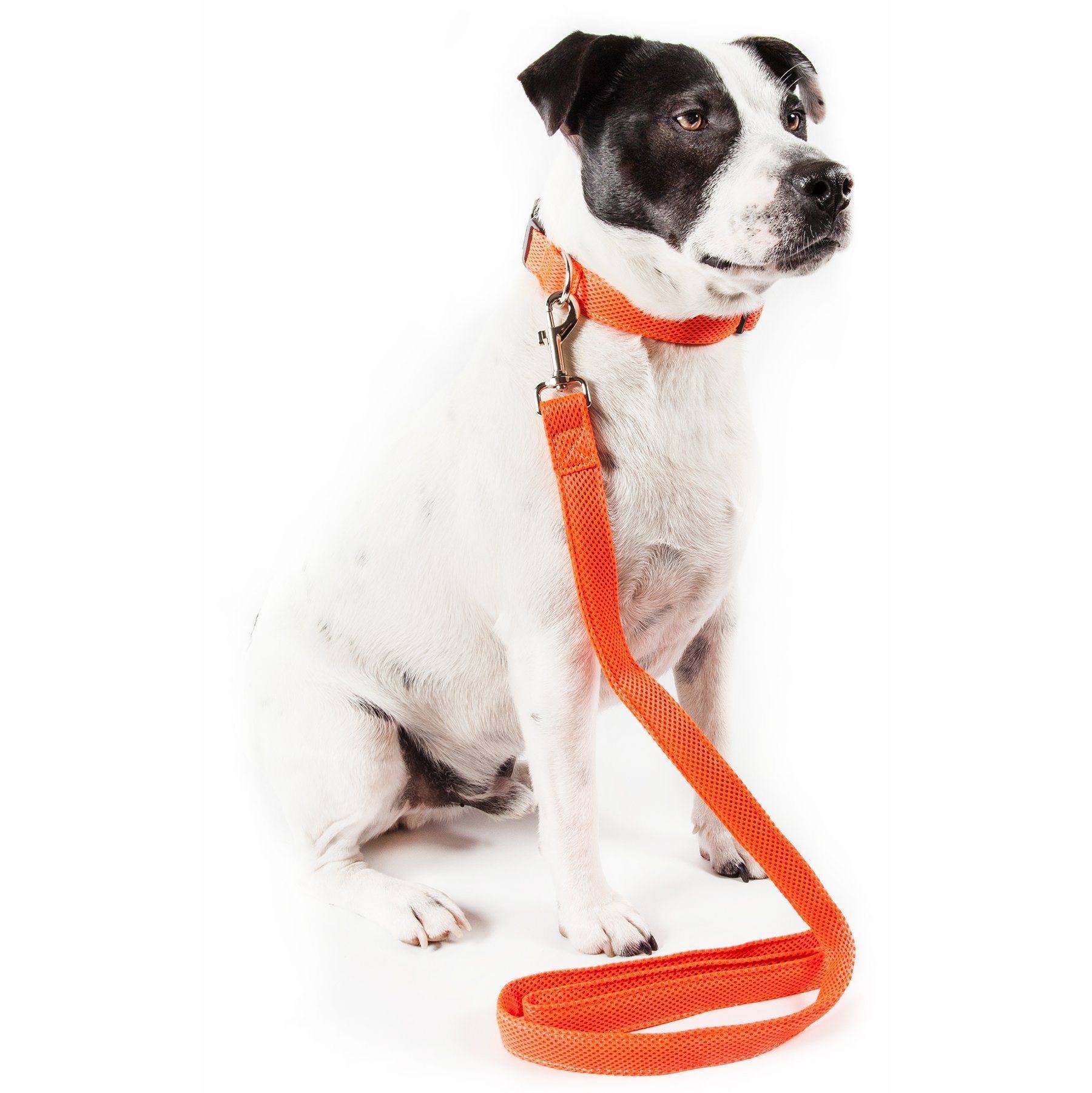 Aero Mesh 2 in 1 Breathable Adjustable Dog Leash
