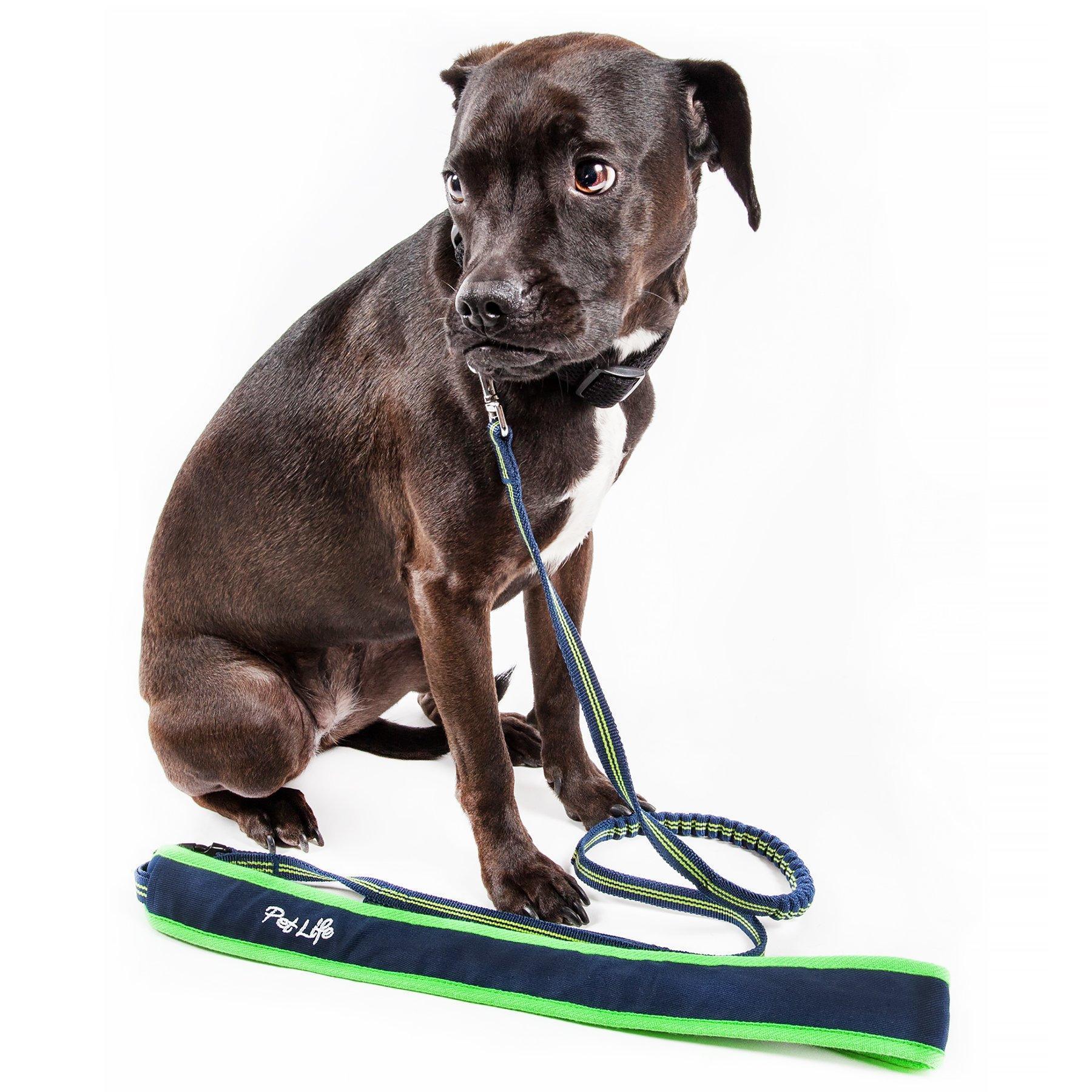Free Fetcher Hands Free Over Shoulder Shock Absorbent Dog Leash