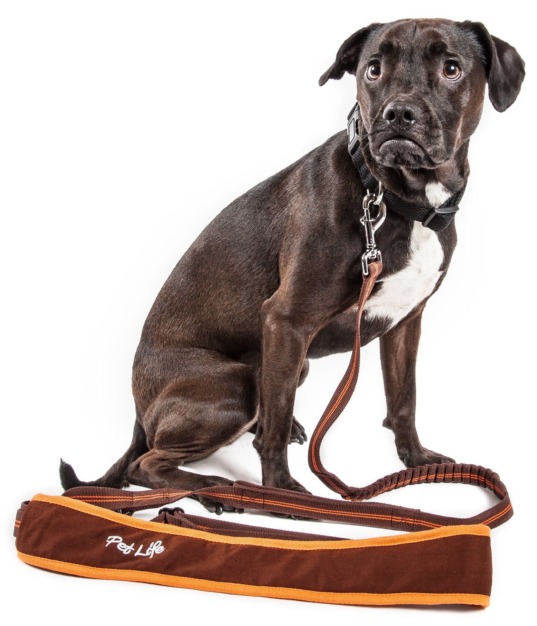 Free Fetcher Hands Free Over Shoulder Shock Absorbent Dog Leash