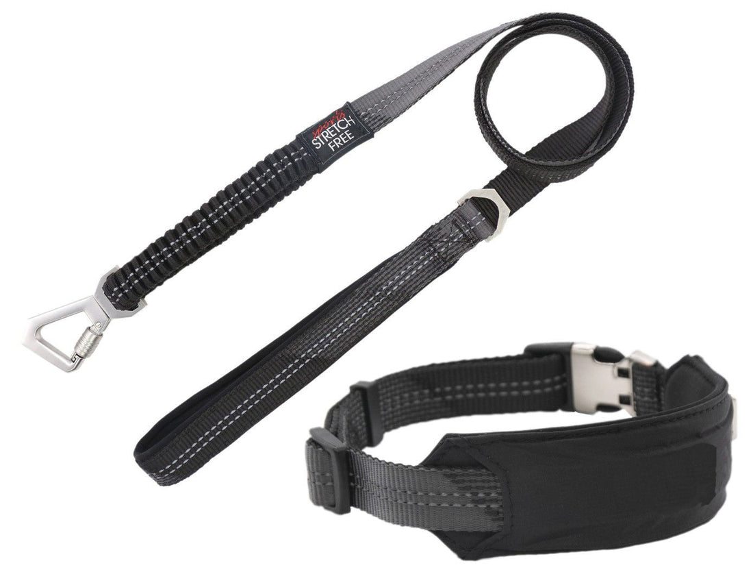 Geo Prene 2 in 1 Shock Absorbing Reflective Dog Leash
