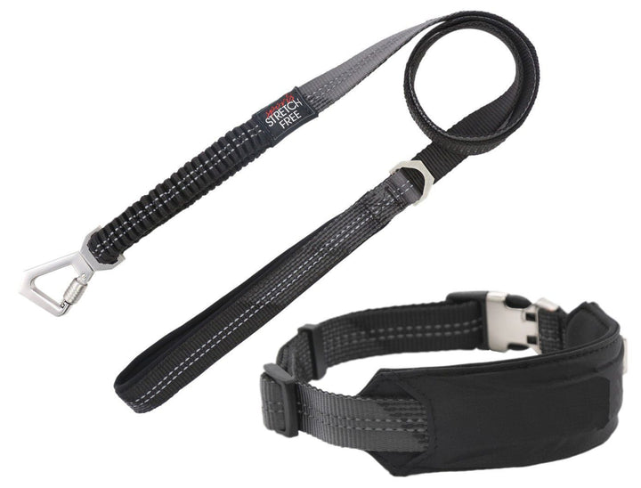 Geo Prene 2 in 1 Shock Absorbing Reflective Dog Leash