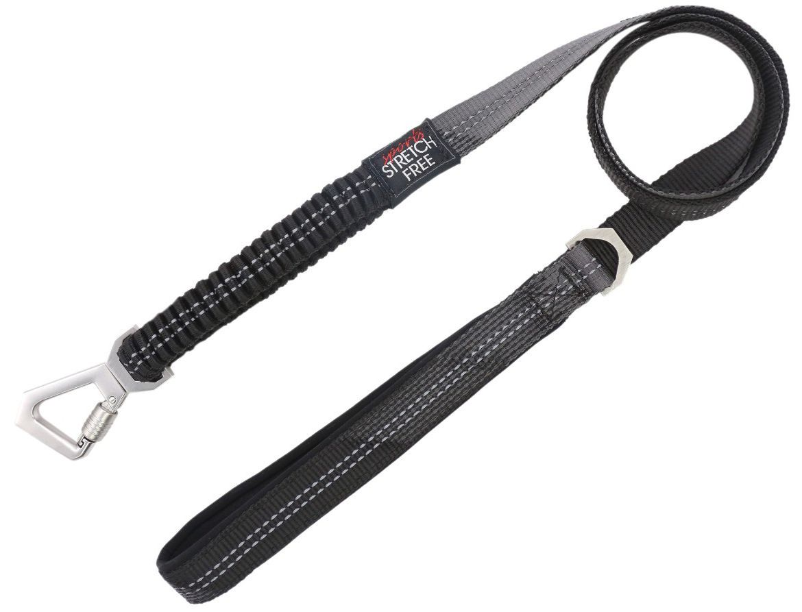 Geo Prene 2 in 1 Shock Absorbing Reflective Dog Leash