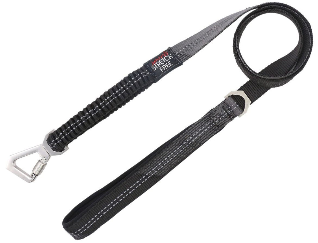 Geo Prene 2 in 1 Shock Absorbing Reflective Dog Leash