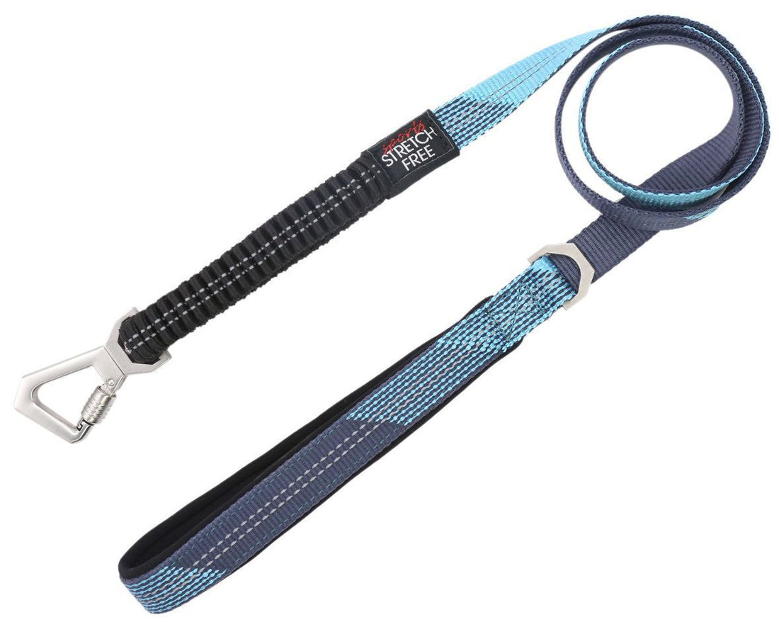 Geo Prene 2 in 1 Shock Absorbing Reflective Dog Leash