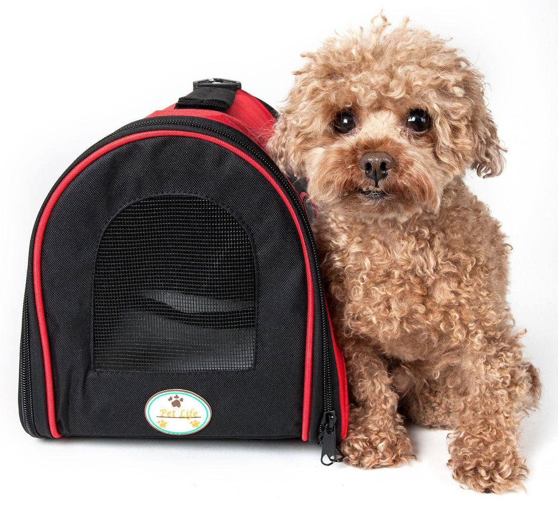 Sporty Mesh Airline Approved Folding Travel Pet Dog Carrier