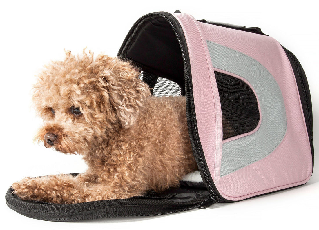 Sporty Mesh Airline Approved Folding Travel Pet Dog Carrier