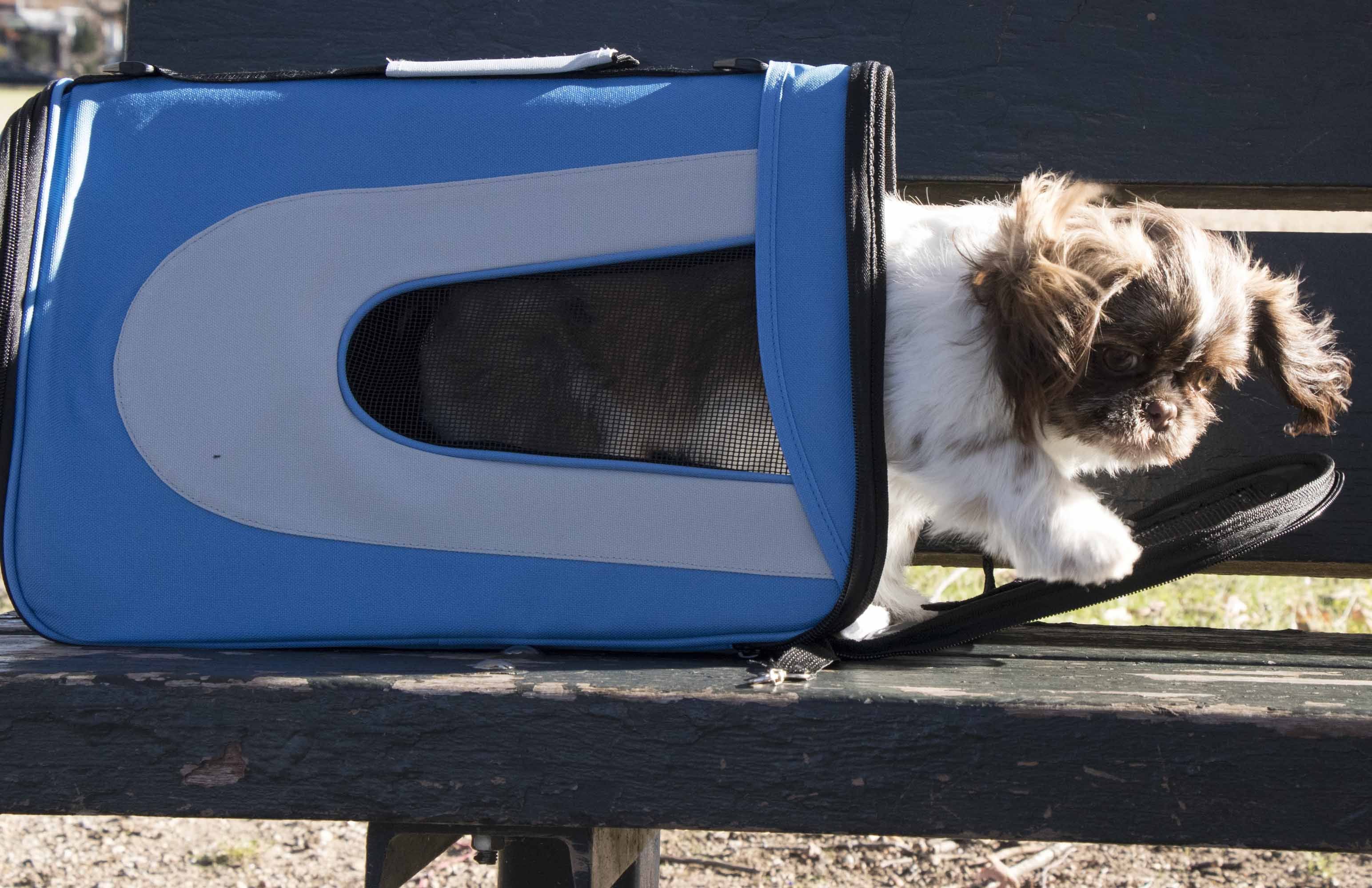 Sporty Mesh Airline Approved Folding Travel Pet Dog Carrier