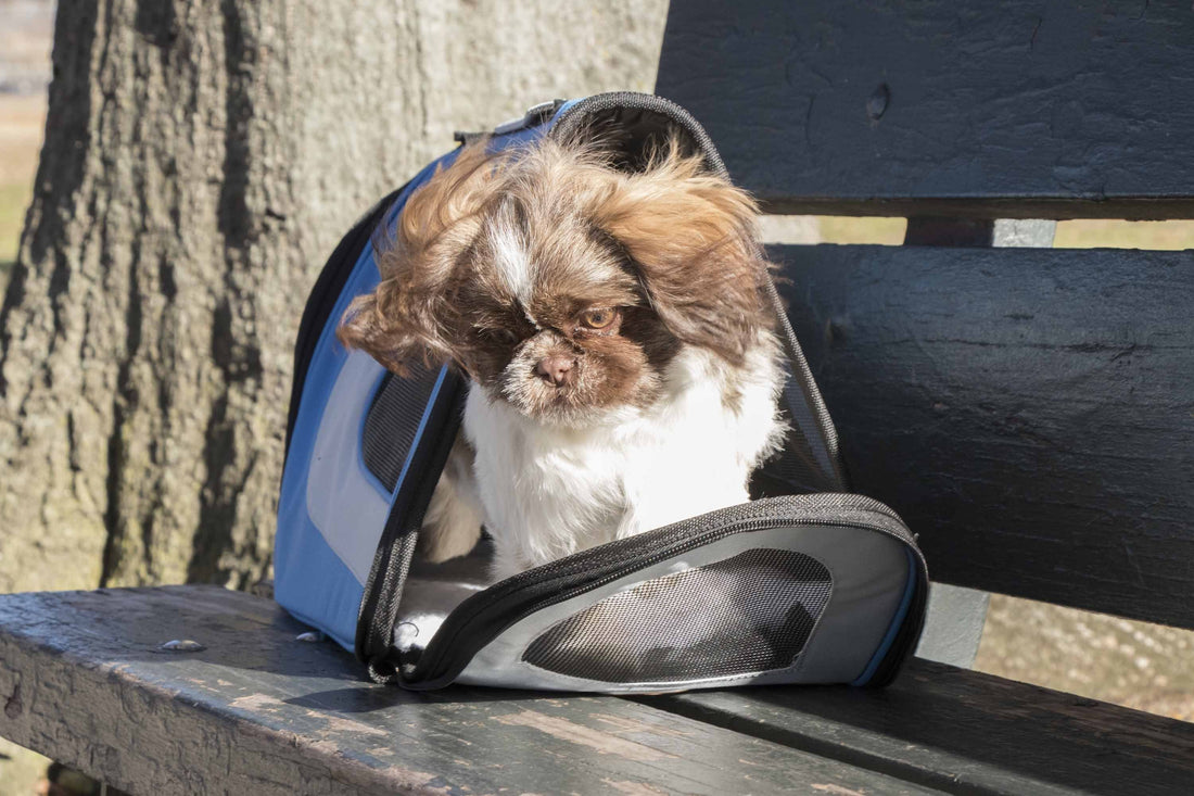 Sporty Mesh Airline Approved Folding Travel Pet Dog Carrier