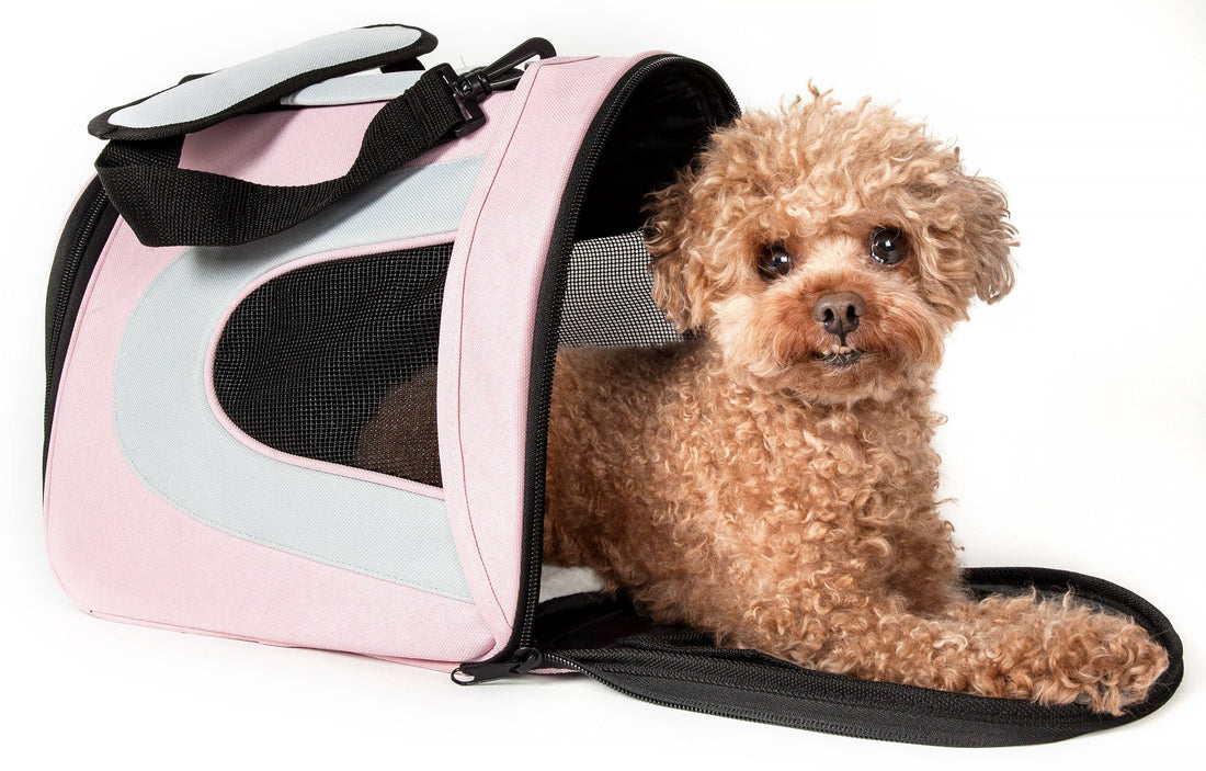 Sporty Mesh Airline Approved Folding Travel Pet Dog Carrier