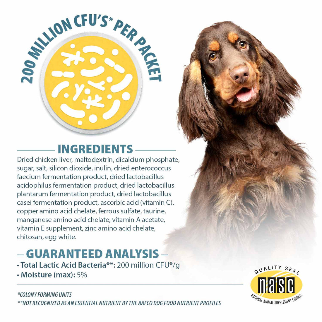 Pet's Choice Gut Instincts Probiotic Powder for Dogs – Daily Digestive & Immune Support, 30 Count