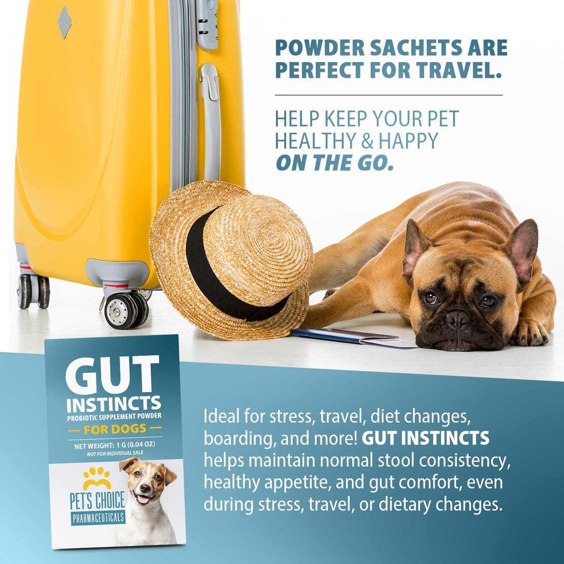 Pet's Choice Gut Instincts Probiotic Powder for Dogs – Daily Digestive & Immune Support, 30 Count