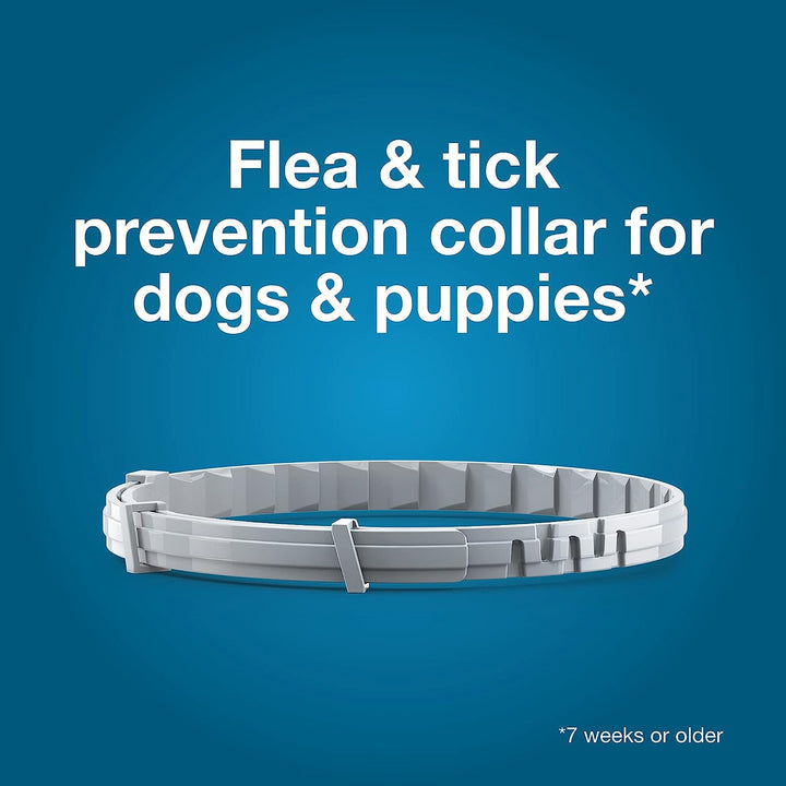 Seresto Flea & Tick Dog Collars