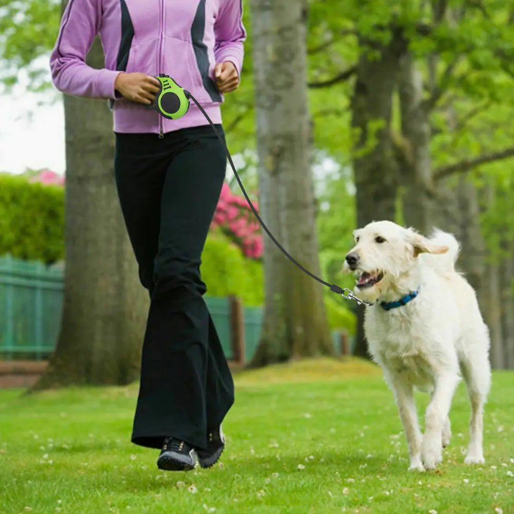 16.5FT Automatic Retractable Dog Leash for Walking Pets